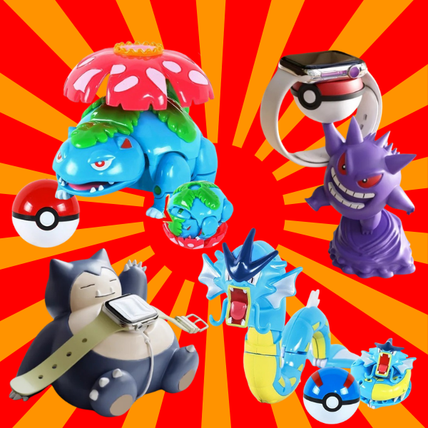 Pokémon Accessories