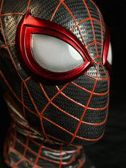 PS5 Spider-Man Mask